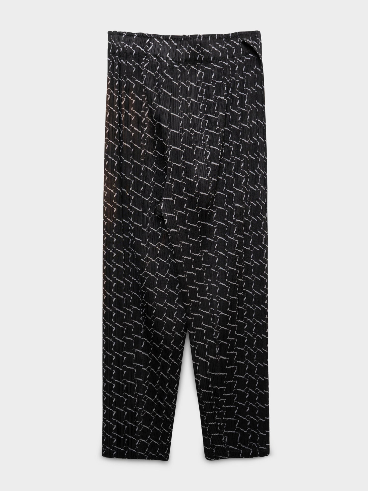 Pattern Pleated Pants