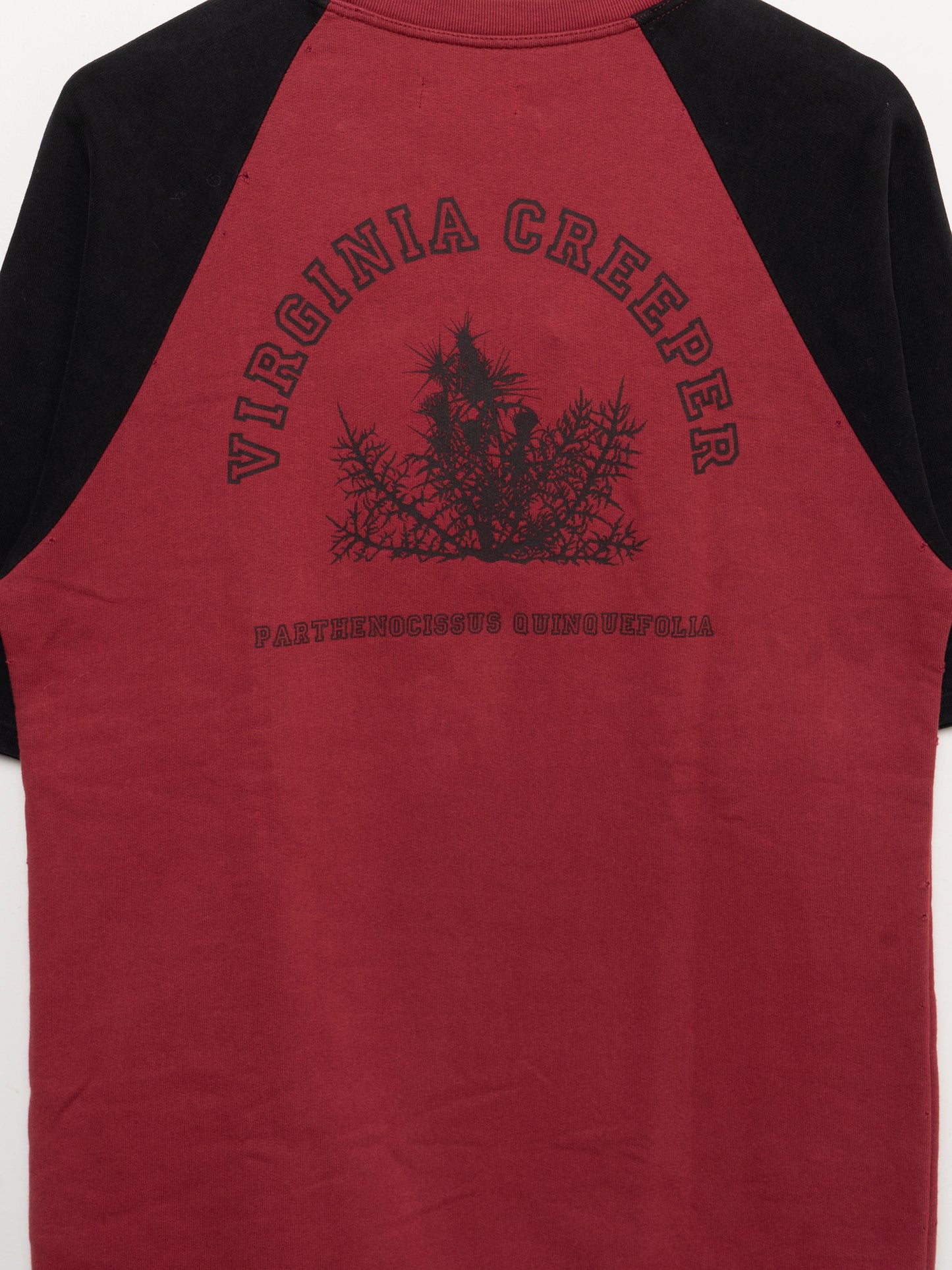 Redux Virginia Creeper SS Sweatshirt
