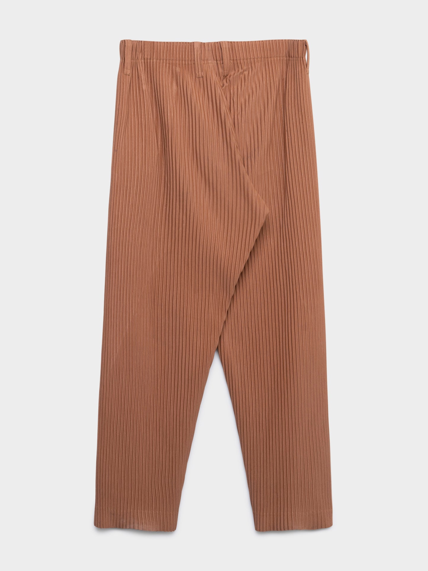 Pleated Pants