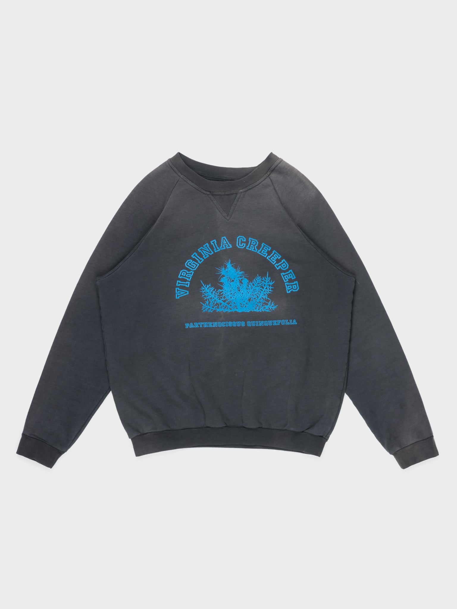 Buy Raf Simons Virginia Creeper Crewneck Online at Groupie