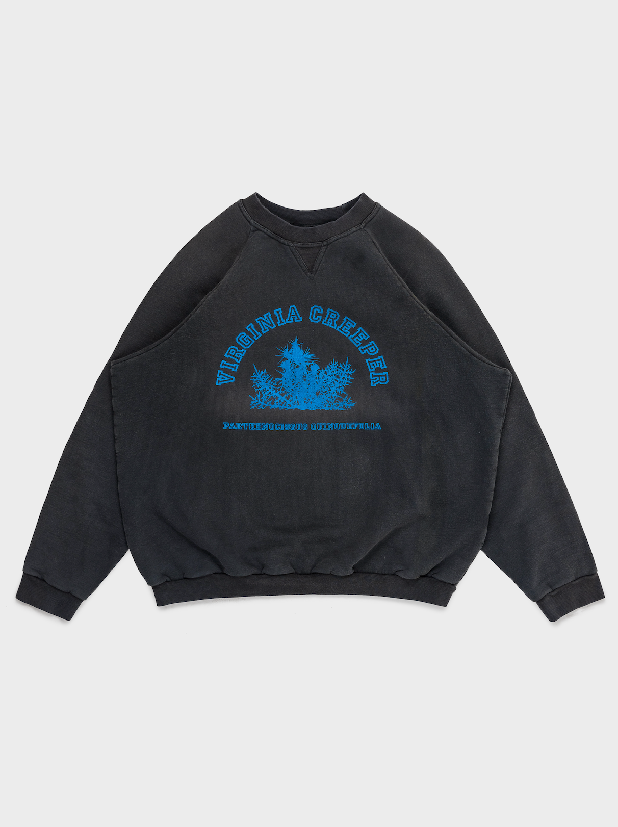 Buy Raf Simons 'Virginia Creeper' Crewneck Sweatshirt Online at