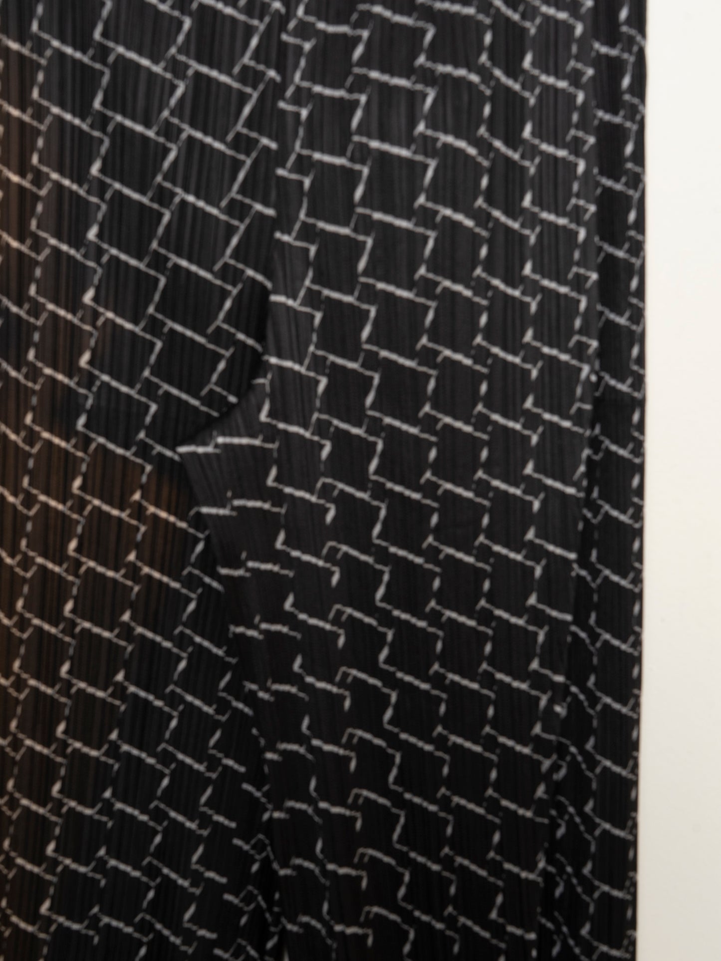 Pattern Pleated Pants