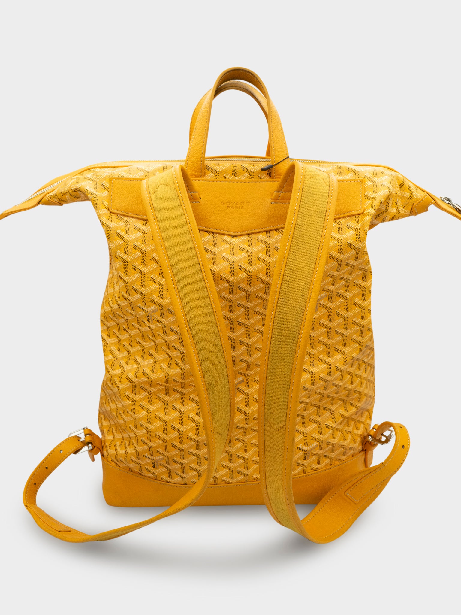 Cisalpin Backpack Goyard