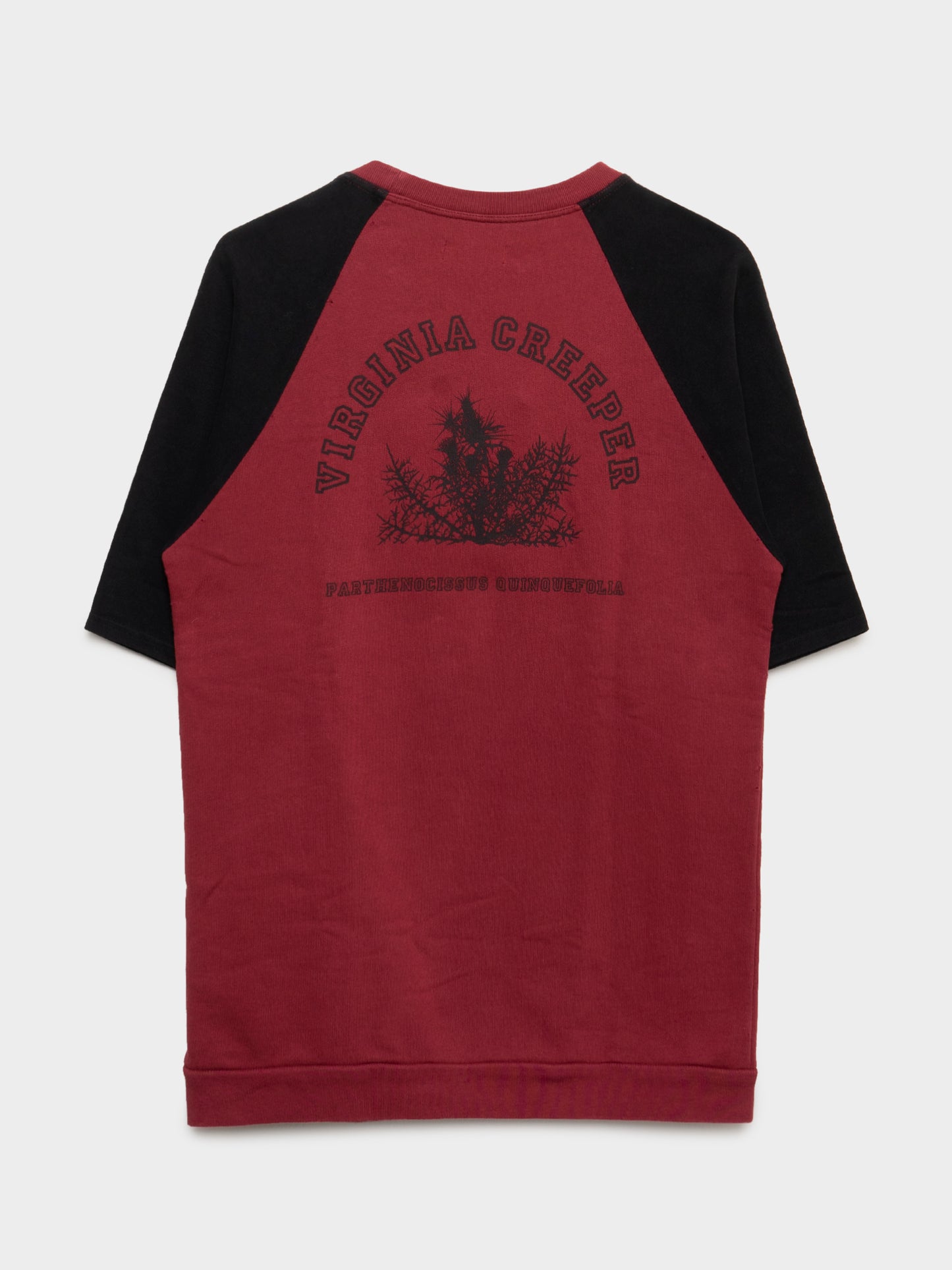 Redux Virginia Creeper SS Sweatshirt