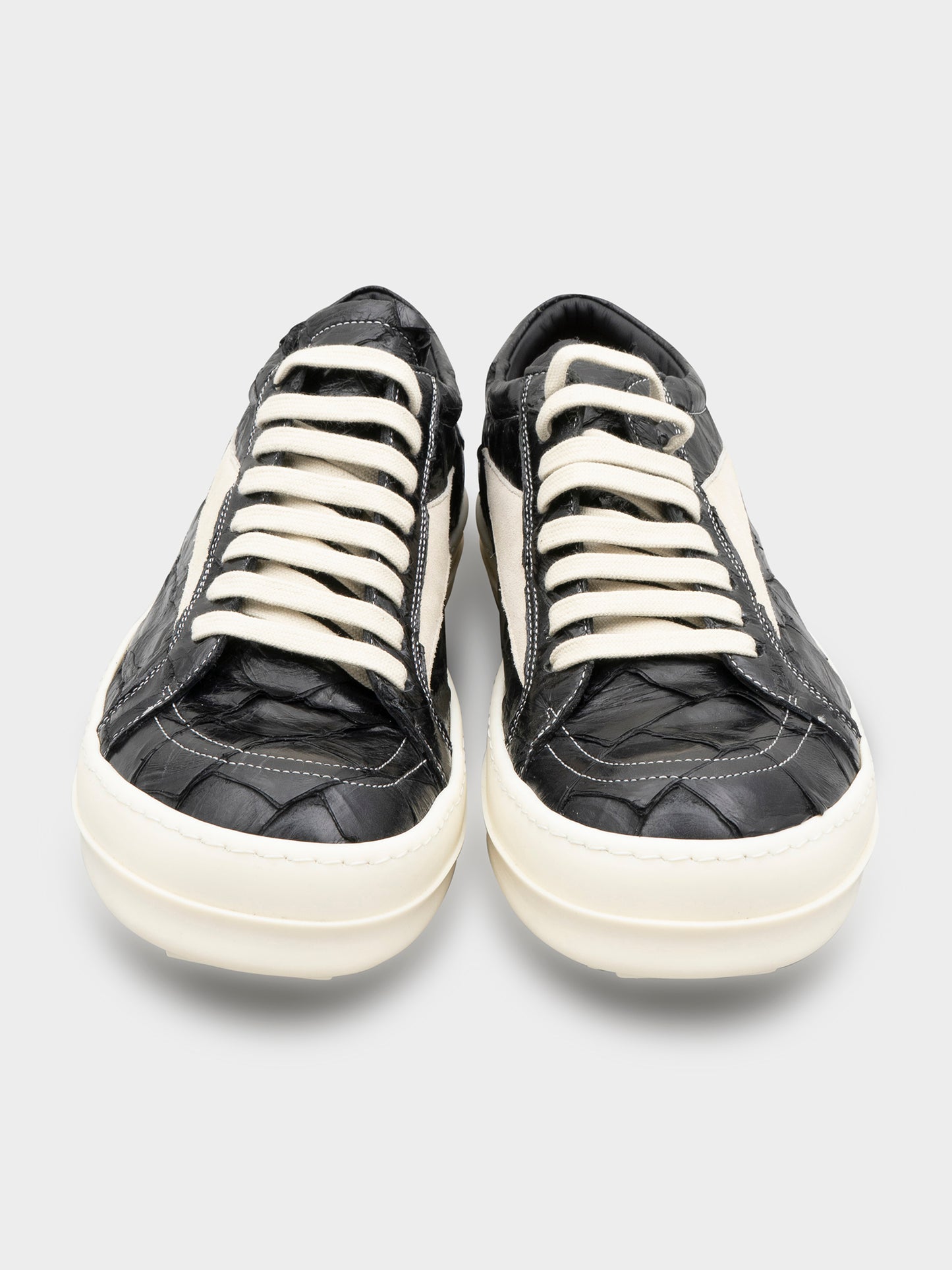 1/24 Pirarucu Fish Vintage Sneakers