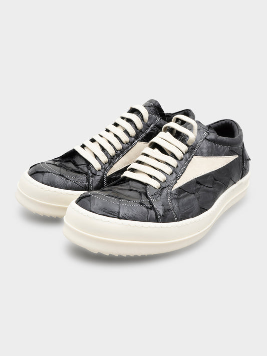 1/24 Pirarucu Fish Vintage Sneakers