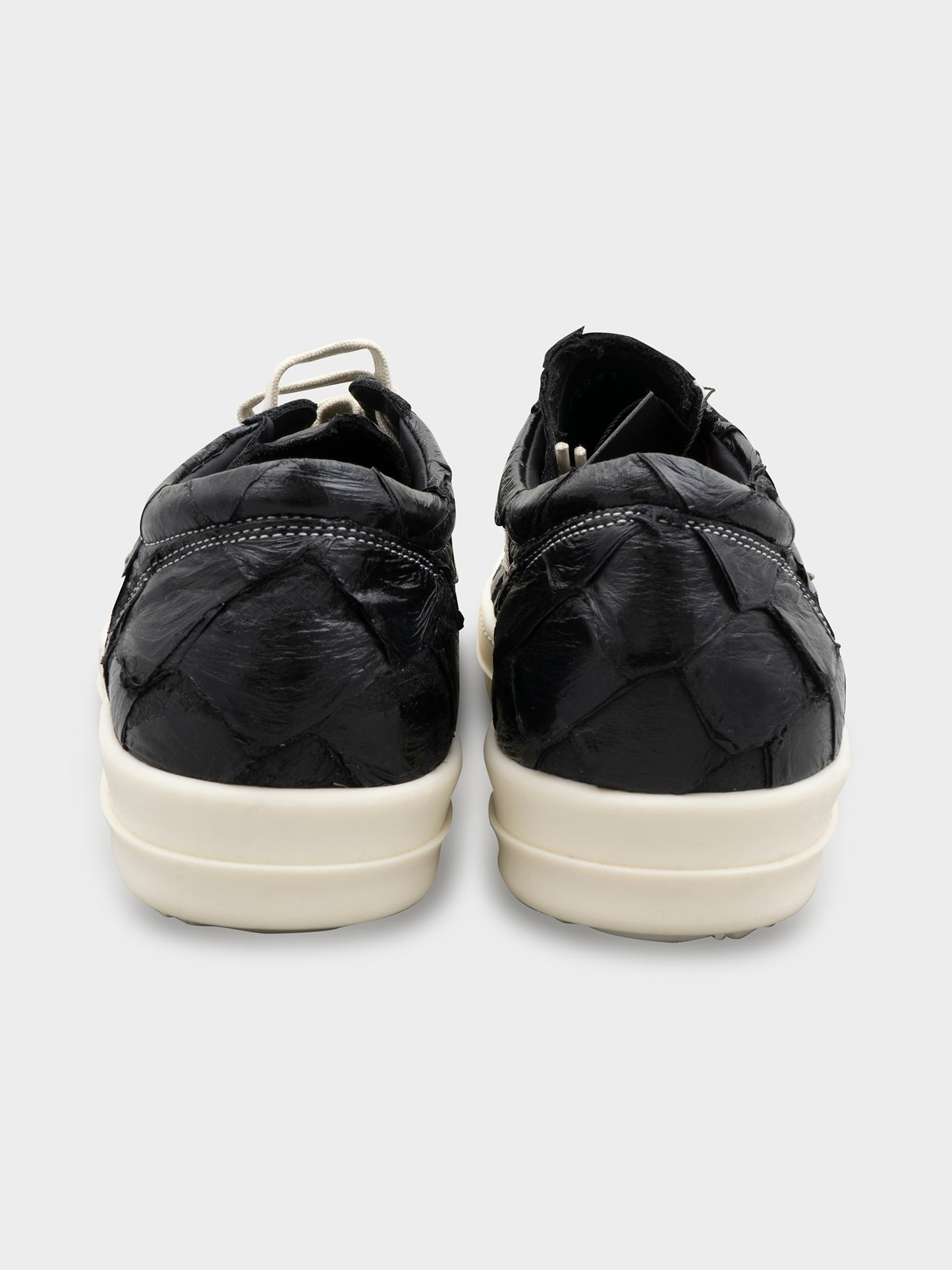 1/24 Pirarucu Fish Vintage Sneakers