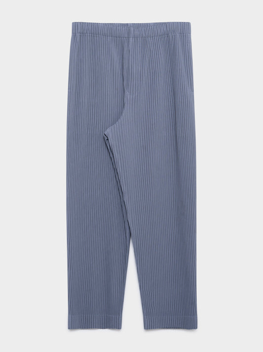 Pleated Pants