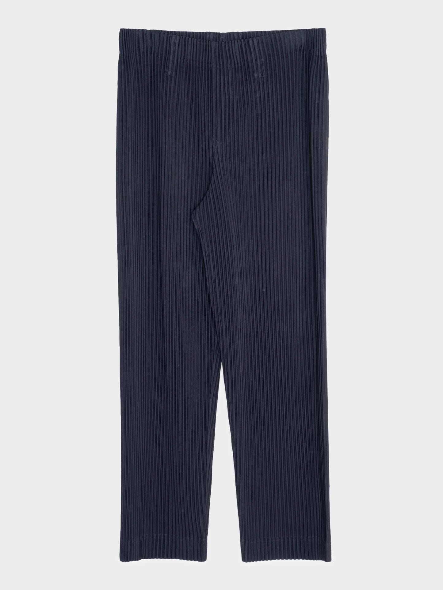 Pleated Trousers