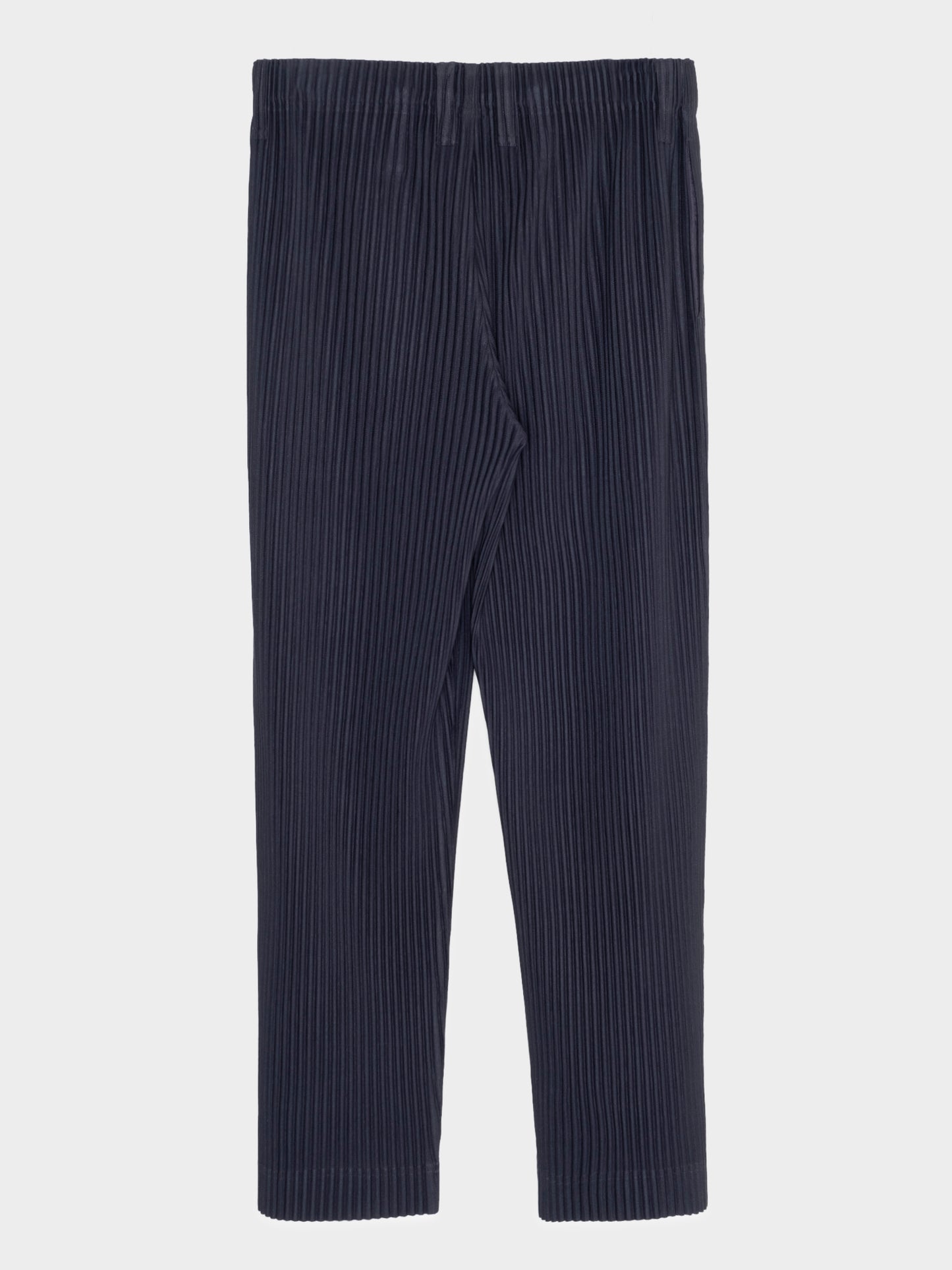 Pleated Trousers