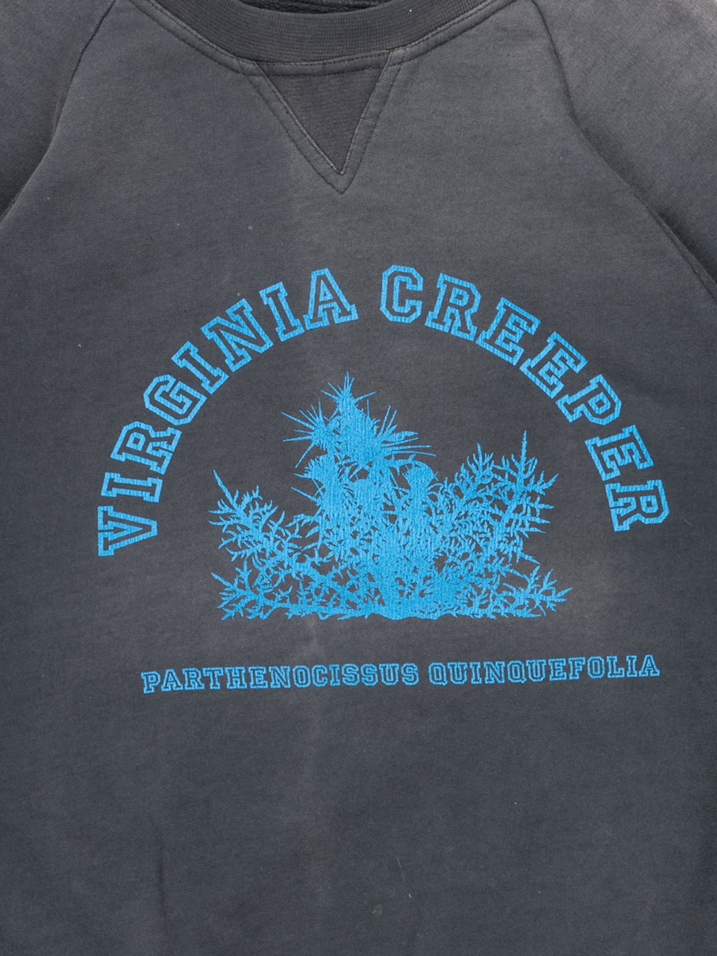 Virginia Creeper Crewneck