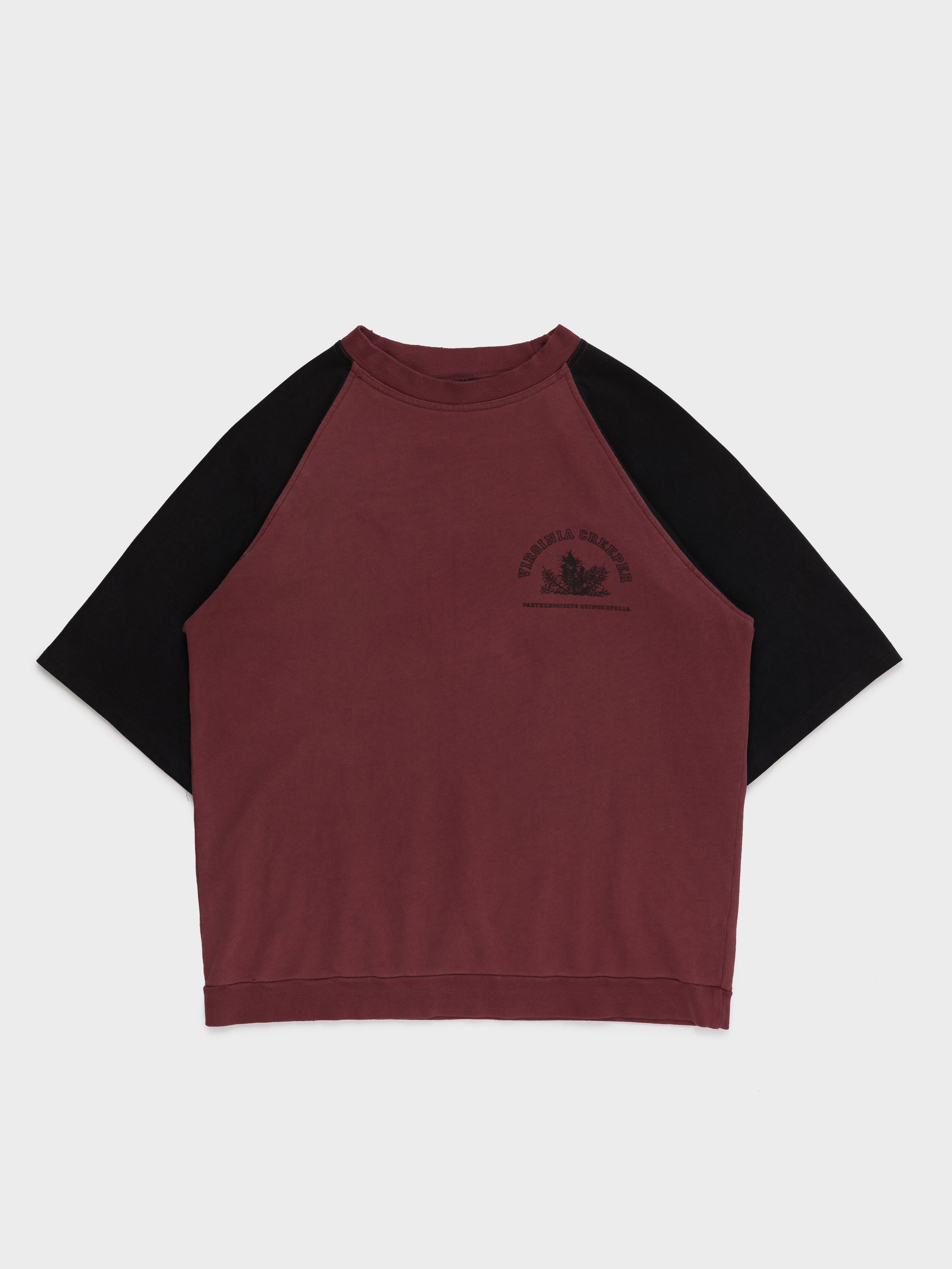 Raf Simons Virginia Crewneck Sweatshirt Virginia Creeper