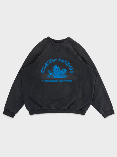 Raf Simons: 'Virginia Creeper' Crewneck Sweatshirt | Groupie